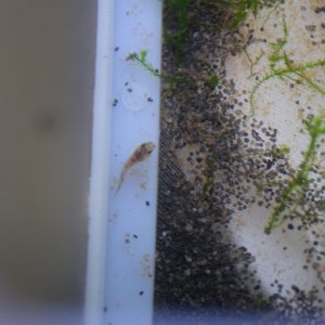DSCF4743.JPG