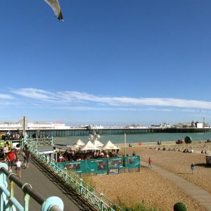 IMG_8576.jpg