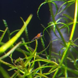 20201102_202026.jpg