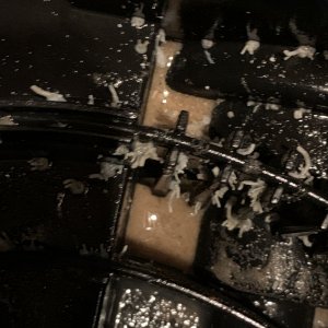23B54E89-AE16-4FF0-8E12-023A76606327.jpeg