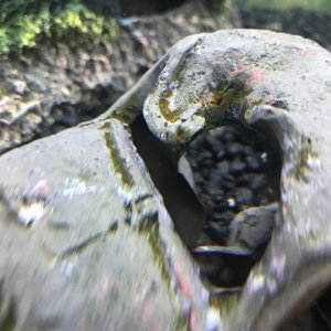 IMG_1549.jpeg