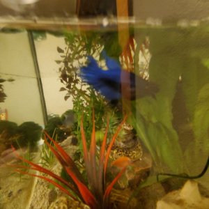 20201104_211235.jpg