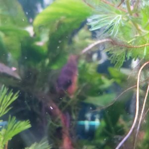 20201105_213225.jpg