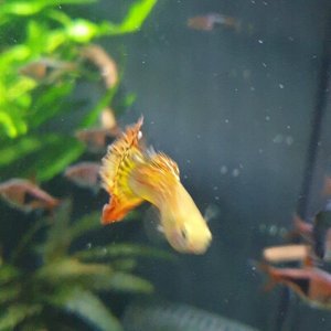 20201106_150018.jpg