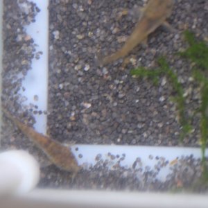 DSCF4960.JPG