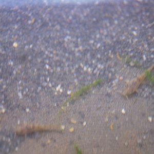 DSCF4941.JPG