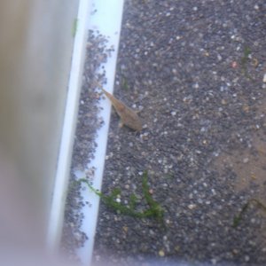 DSCF4940.JPG