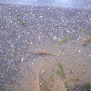 DSCF4939.JPG