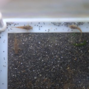 DSCF4923.JPG