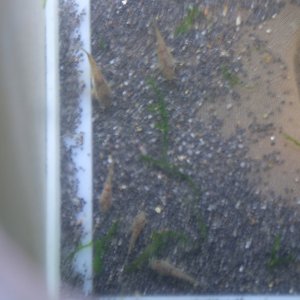 DSCF4913.JPG