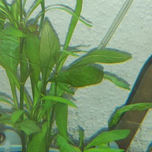 20201108_175617.jpg