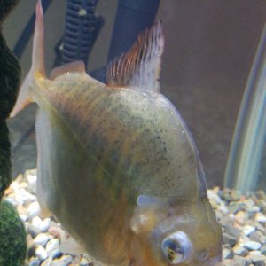 20201105_181552.jpg