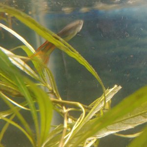 20201108_102125.jpg