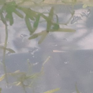 20201108_165413.jpg