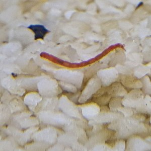 20201111_105305.jpg