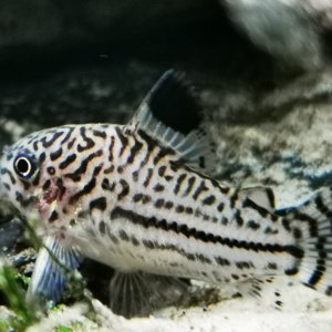 IMG_20201111_142325.jpg