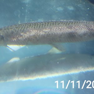 20201111_200314.jpg