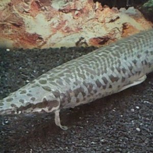 20201111_195456.jpg