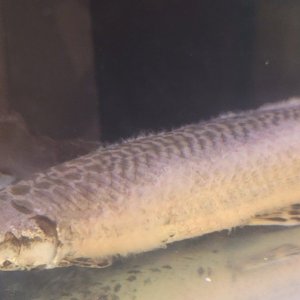 20201111_195330.jpg