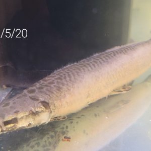 20201111_195248.jpg