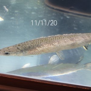 20201111_195154.jpg
