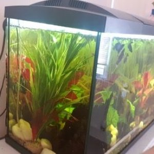 Tank2.2B.jpg