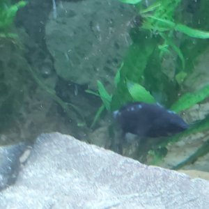 20201114_014223.jpg