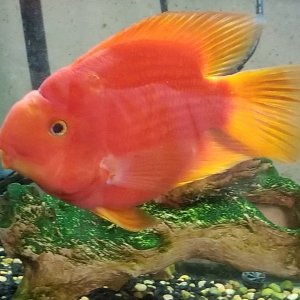 20201102_224325.jpg