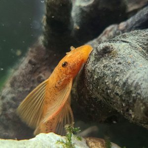 20201115_200138.jpg