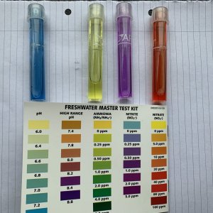 31260D8F-0D34-4EC0-80A5-13088C62FDA4.jpeg