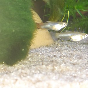20201117_192449.jpg