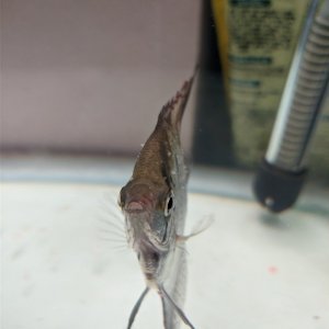 IMG_20201118_200011.jpg