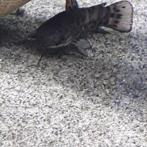 20201122_122118.jpg
