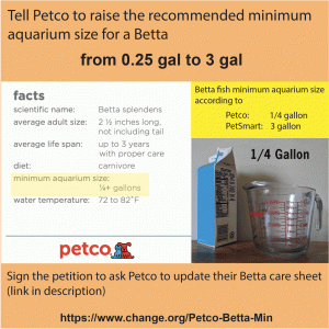 InPetition-Betta-Min-Petco-BettaWorldForBettas.gif