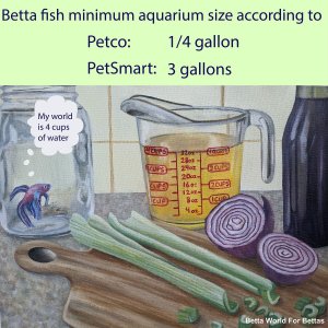 Petco and PetSmart Betta Minimum Aquarium Size.jpg