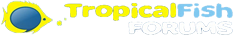Tropical Fish Forums logo