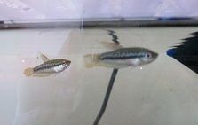 000_0020.JPG