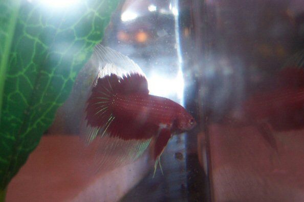 000_0026.JPG