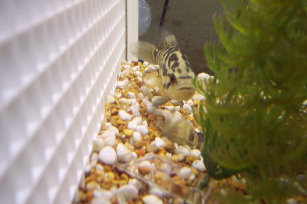 000_0066.JPG