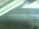 000_0372.JPG