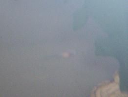 000_0380.JPG