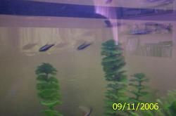 000_0394.jpg