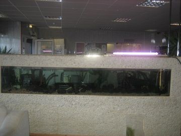 032.JPG