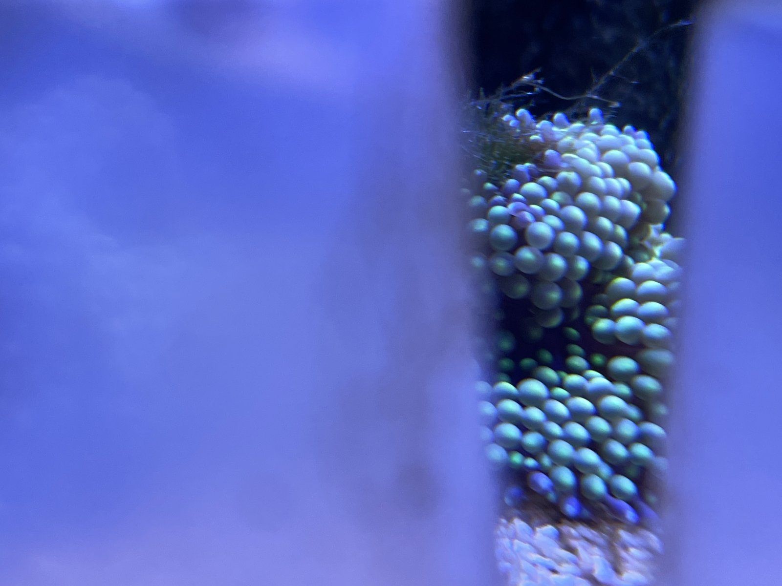 040D7083-4333-4788-A3EC-4866D3F6D113.jpeg