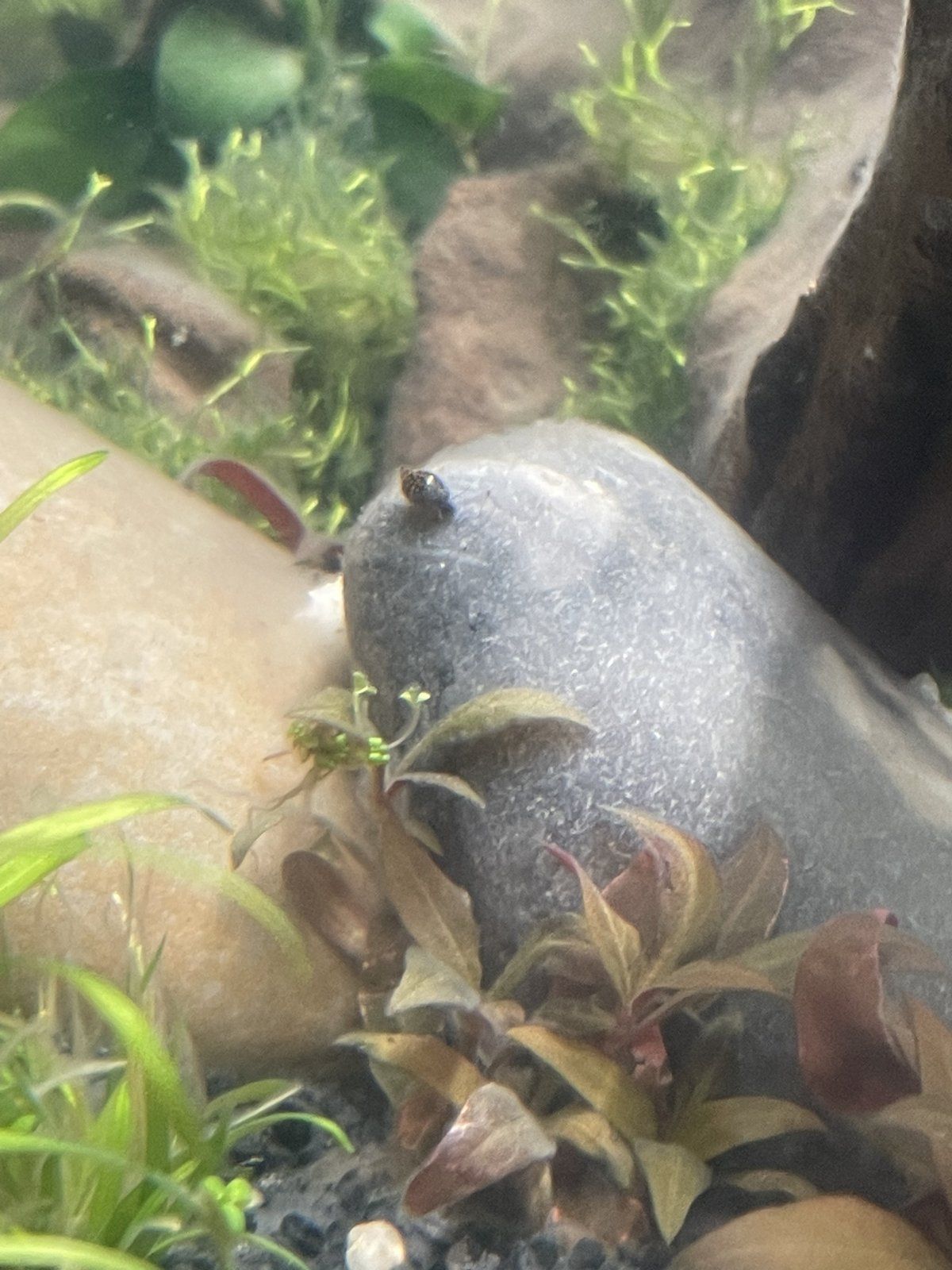 04467E06-DAFE-4B61-8DF0-C6FAA1D481D9.jpeg