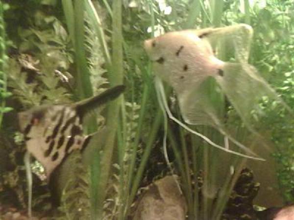07012011060.jpg