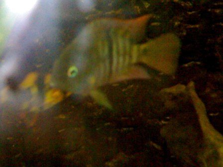09092006059.jpg
