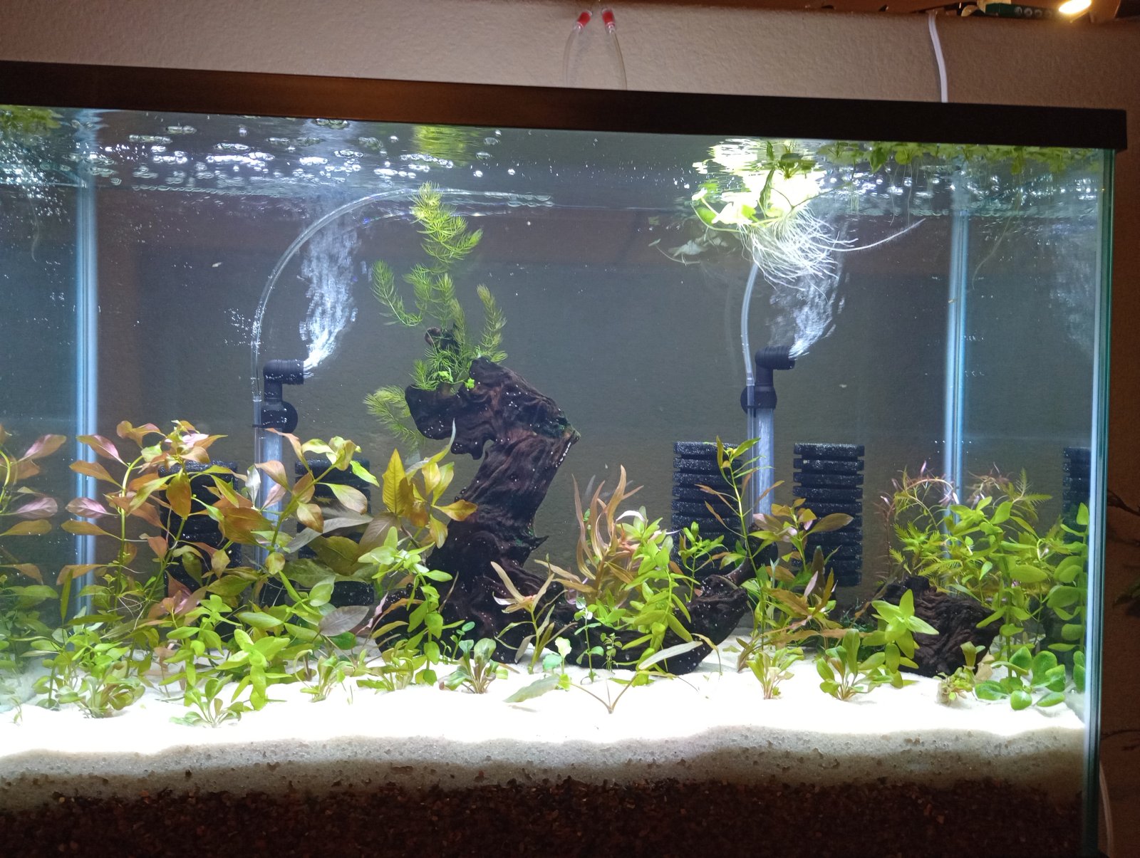 10-23-2025, Day 1, picture 1.jpg