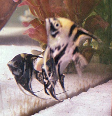 100_0140.jpg