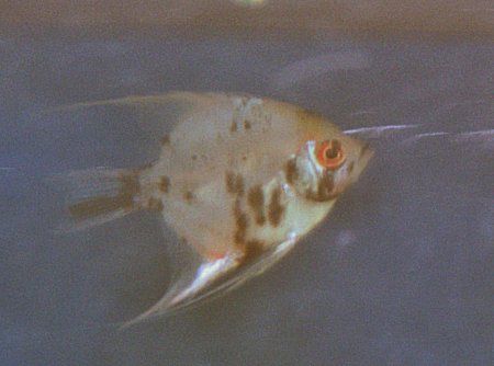 100_0144.jpg